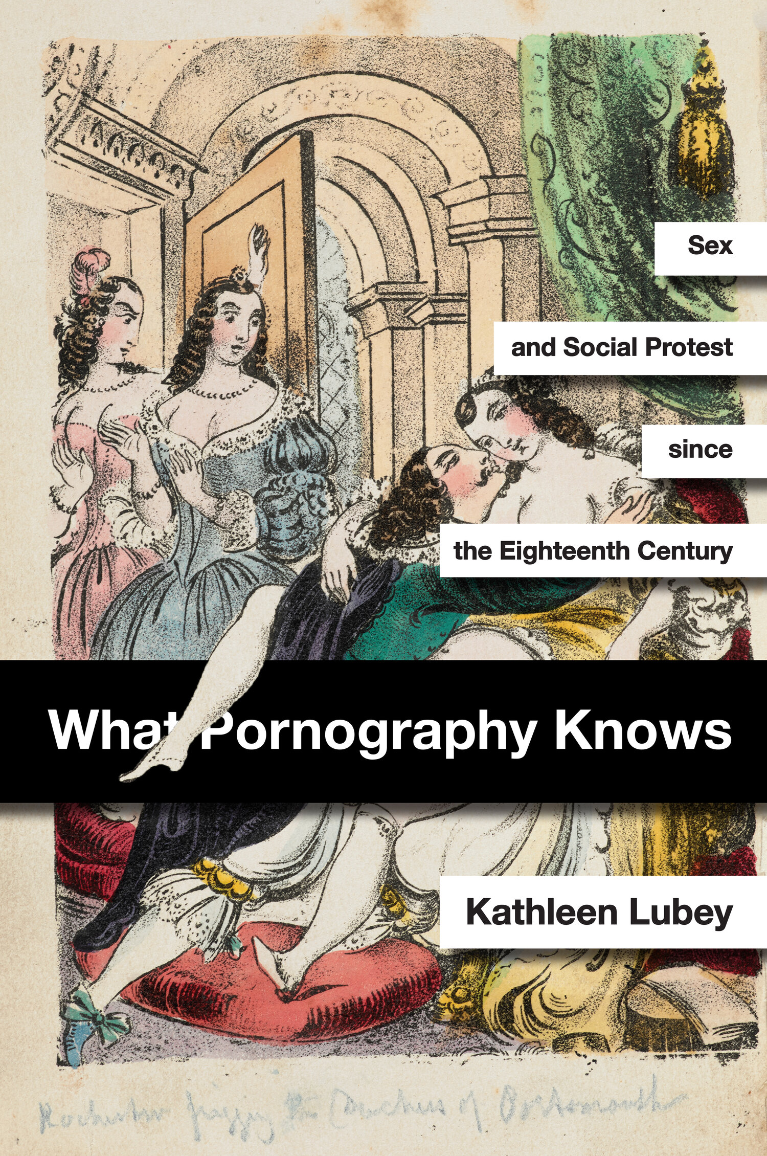 1500px x 2260px - What Pornography Knows | Stanford University Press