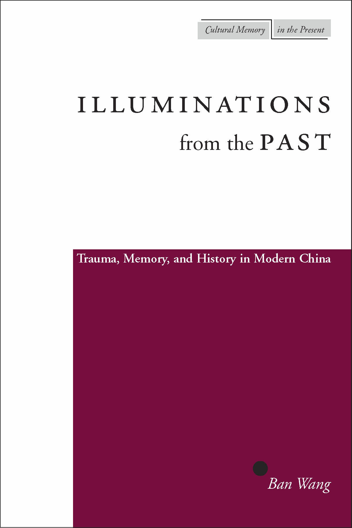 Illuminations from the Past | Stanford University Press